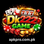 DK 222 Game