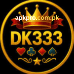 DK333 Game