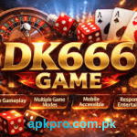 DK666 Game