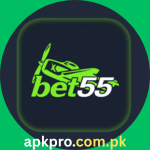 Bet 55 Game