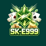 SK E999 Game